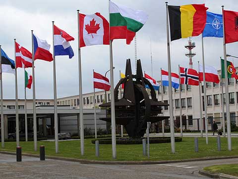 საერთაშორისო ინსტიტუტები